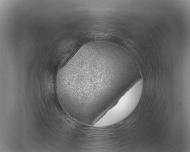 X0000080191252200612152005