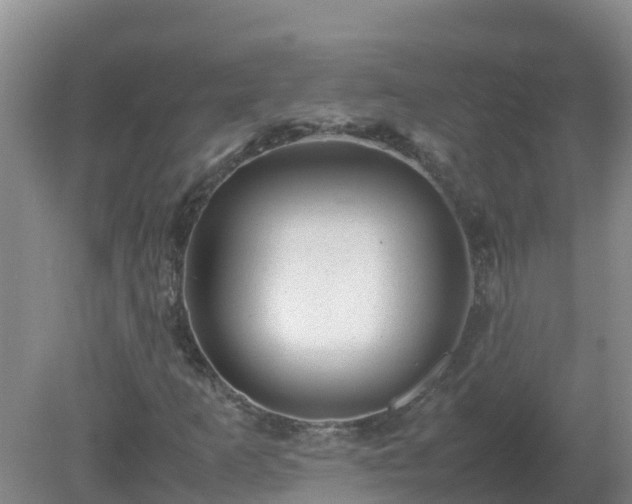 X0000080191253200612152005