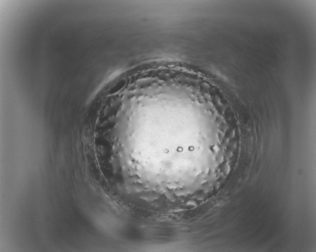 X0000080191255200612152005