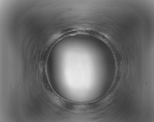 X0000080191257200612152005