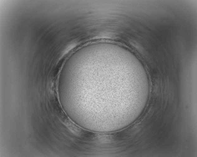 X0000080191258200612152005