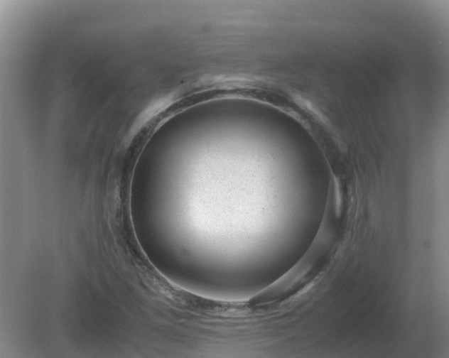 X0000080191261200612152005