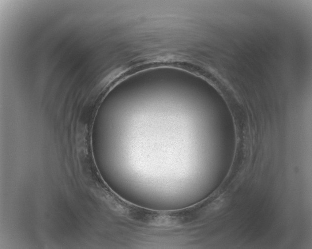X0000080191265200612152005