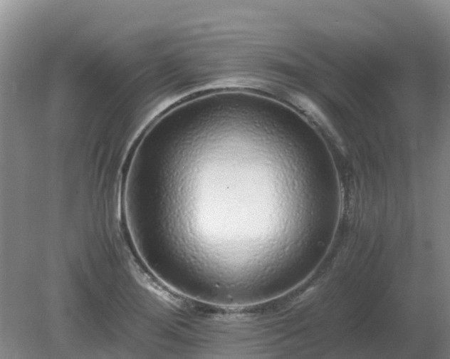 X0000080191276200612152005