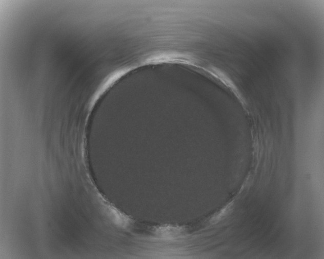 X0000080191277200612152005