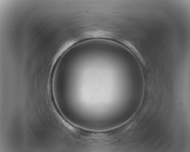 X0000080191285200612152004
