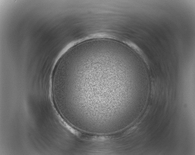 X0000080191286200612152004