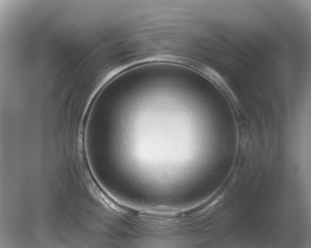 X0000080191292200612152004
