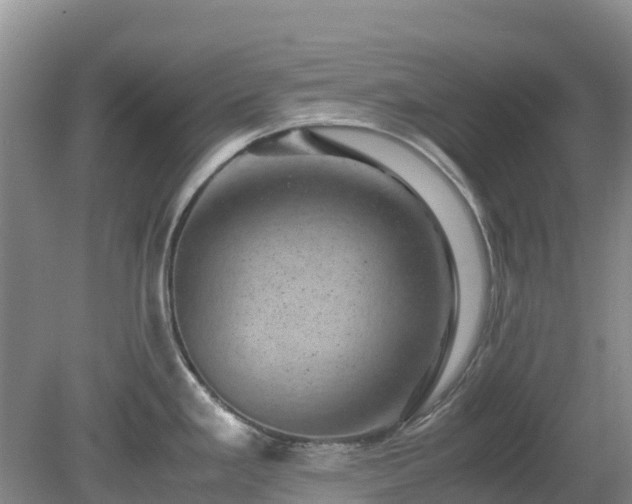 X0000080191293200612152004