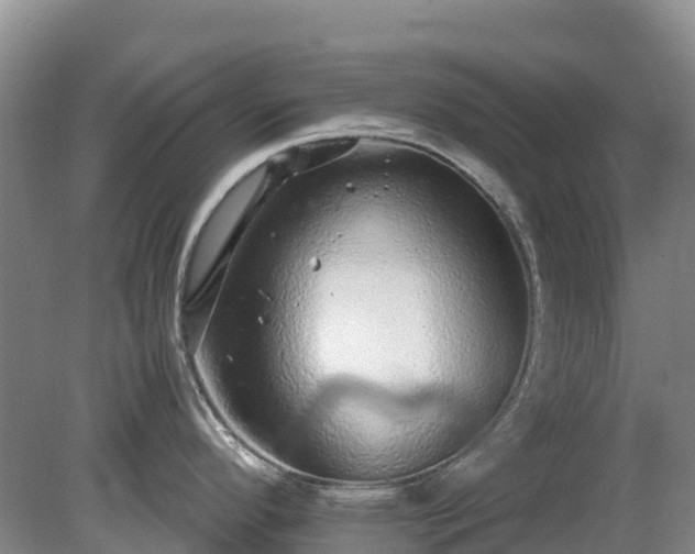 X0000080191296200612152004