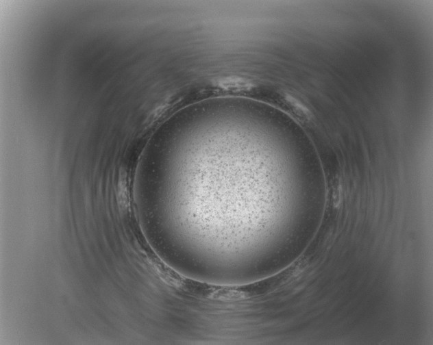 X0000080191298200612152003