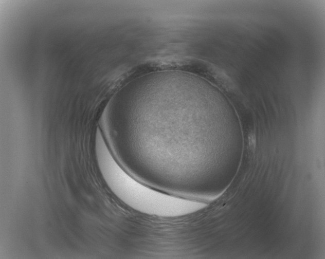 X0000080191300200612152004