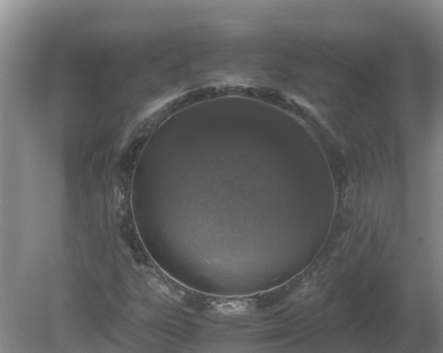 X0000080191303200612152004