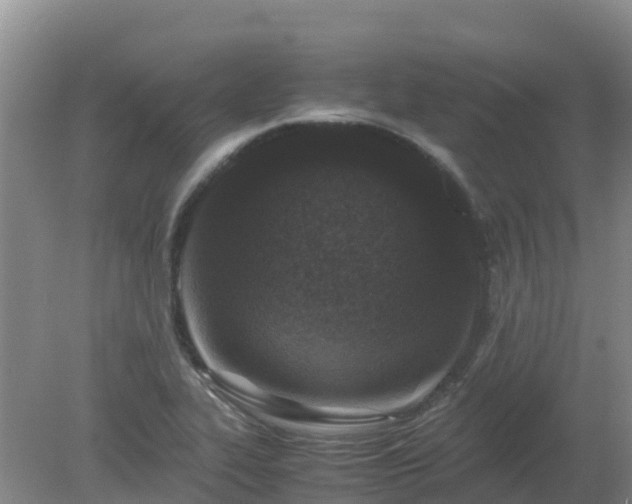 X0000080191319200612152004