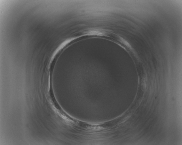 X0000080191323200612152004
