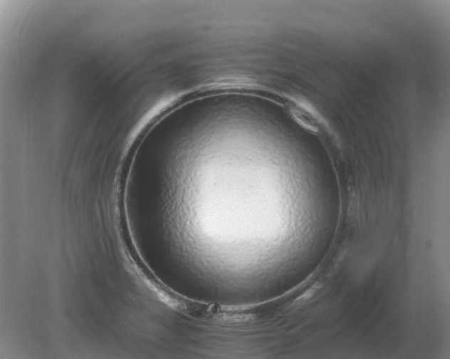 X0000080191325200612152004
