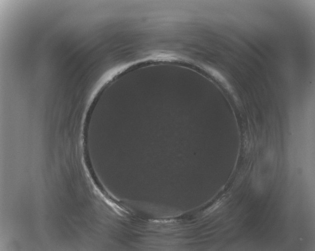 X0000080191327200612152004