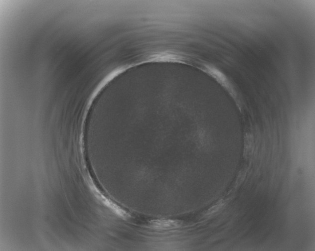 X0000080191331200612152004