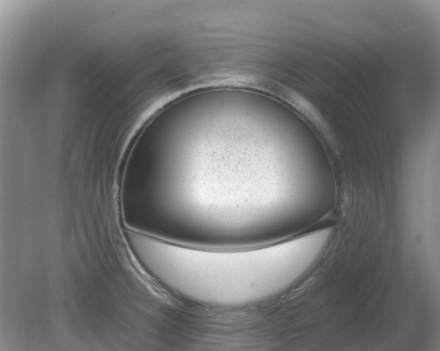 X0000080191332200612152004