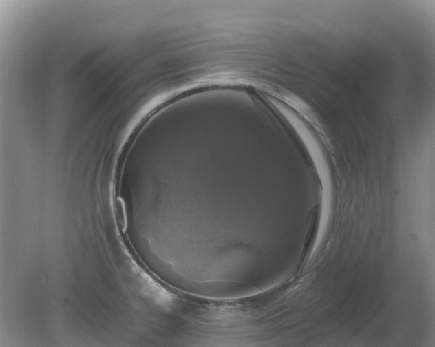 X0000080191334200612152004