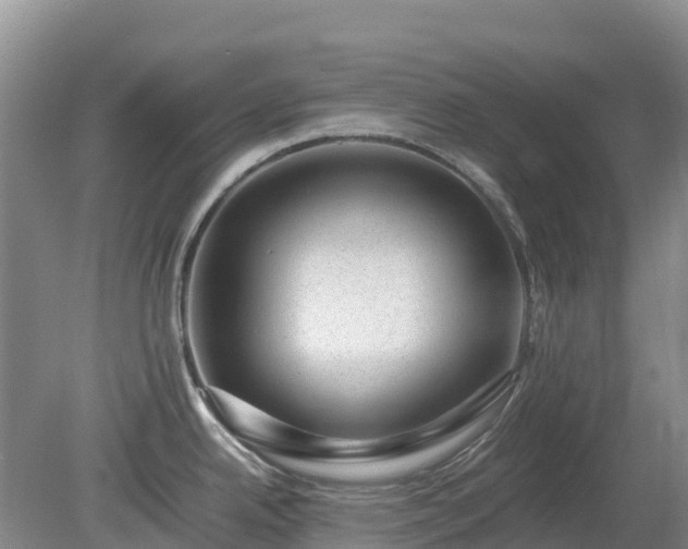 X0000080191342200612152004