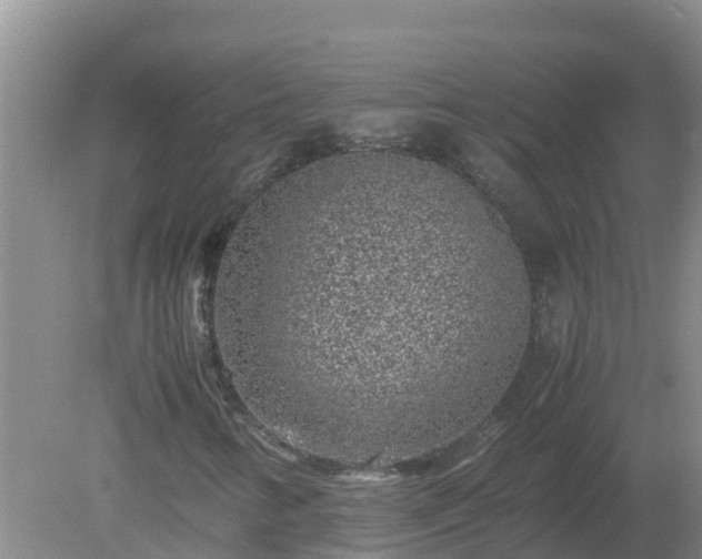 X0000080191346200612152003