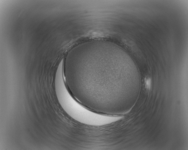 X0000080191348200612152003
