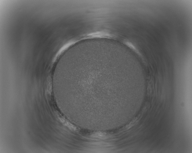 X0000080191358200612152003