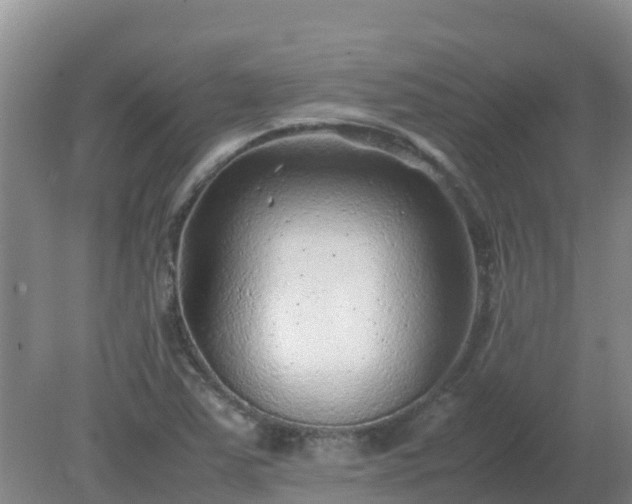 X0000080191363200612152003