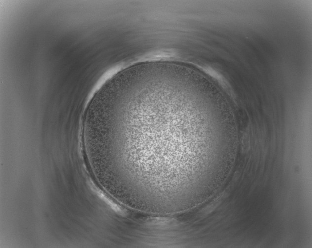 X0000080191374200612152003