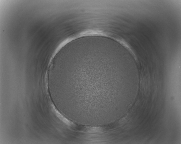 X0000080191382200612152003