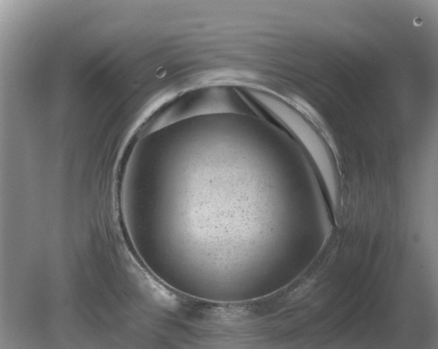 X0000080191384200612152003