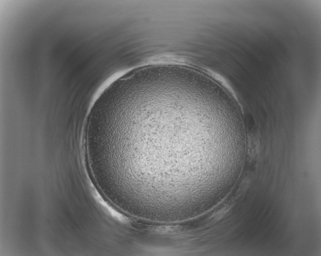 X0000080191387200612152003