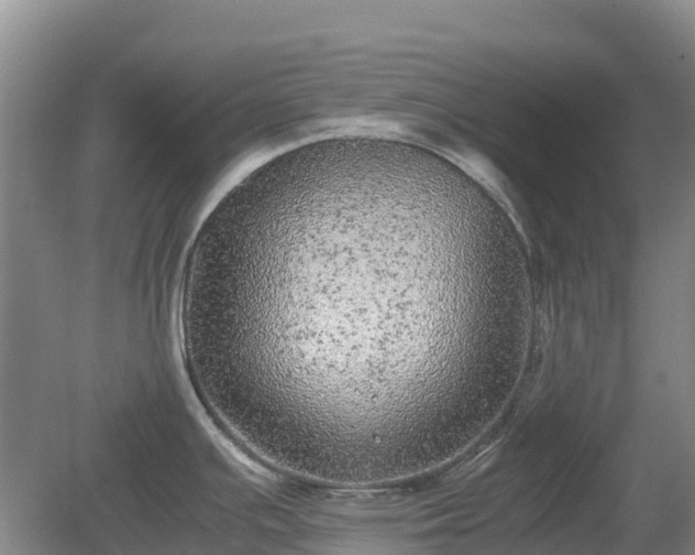 X0000080191391200612152003