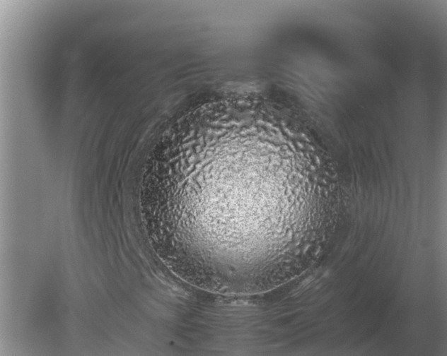 X0000080191393200612152002