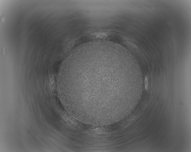 X0000080191395200612152002