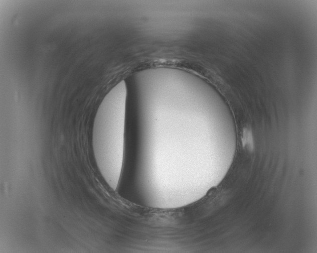 X0000080191396200612152002