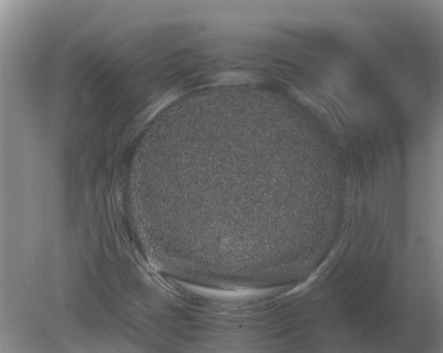 X0000080191401200612152002