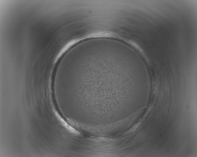X0000080191422200612152002