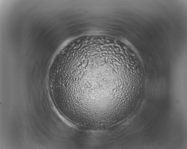 X0000080191429200612152002