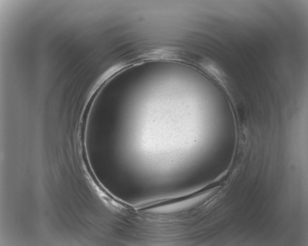 X0000080191434200612152003