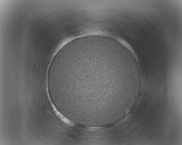 X0000080191439200612152003