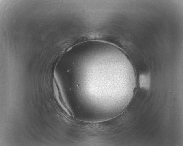 X0000080191444200612152002