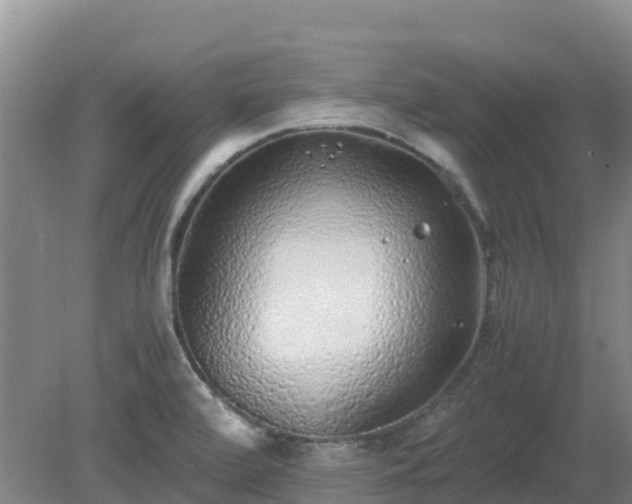 X0000080191472200612152001