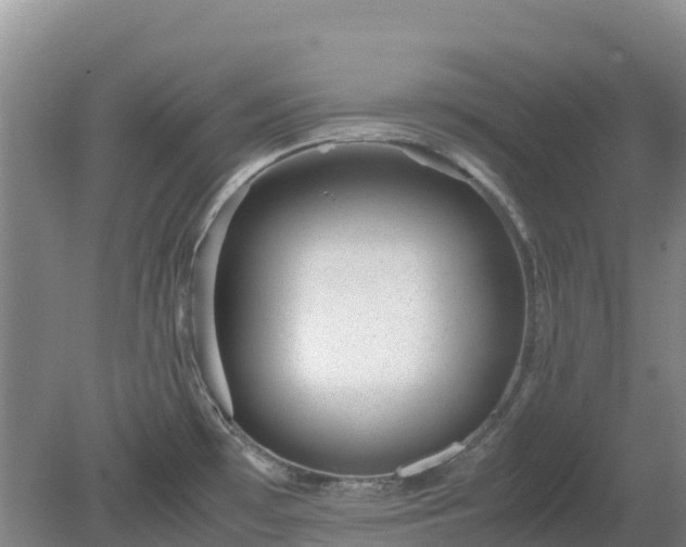 X0000080191481200612152001