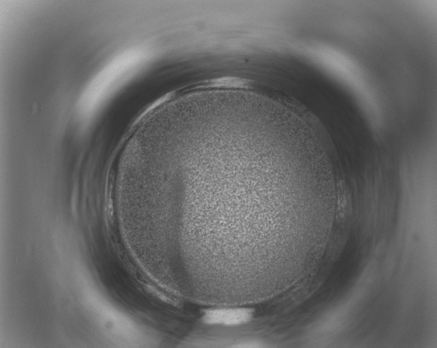X0000080191487200612152001
