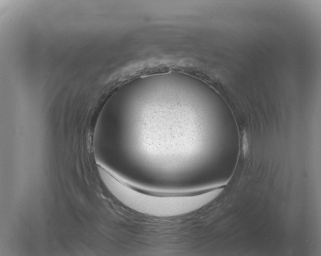 X0000080191492200612152000