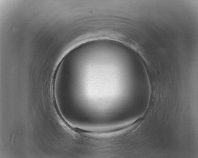 X0000080191516200612152001