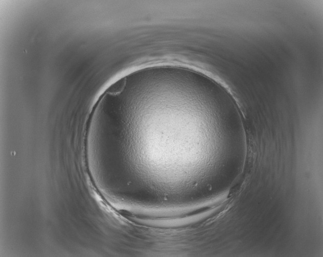 X0000080191534200612152001