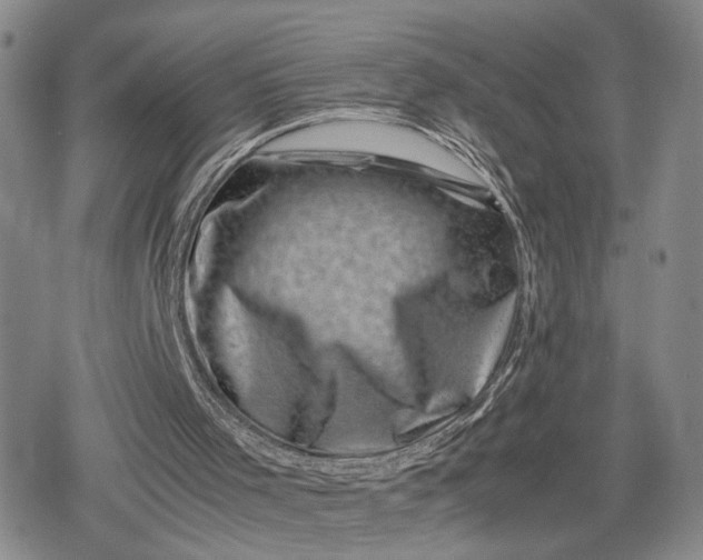X0000080190001200612221352